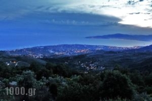 Pelion Goddess Traditional Guesthouse_travel_packages_in_Thessaly_Magnesia_Volos City