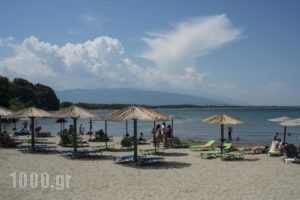 Hotel Vlassis_best prices_in_Hotel_Thessaly_Larisa_Agia