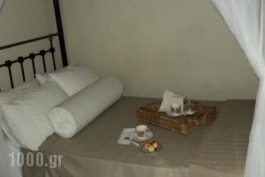 Archontiko Mavrou_accommodation_in_Hotel_Cyclades Islands_Tinos_Tinos Chora