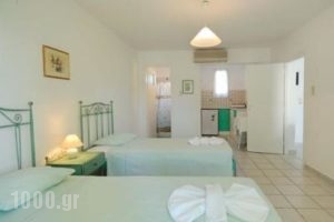 Tzane_holidays_in_Apartment_Cyclades Islands_Paros_Chrysi Akti