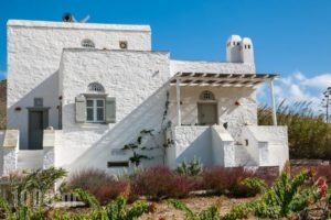 Nikos House_accommodation_in_Hotel_Cyclades Islands_Paros_Paros Chora