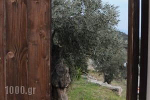 Melolia Farm_best prices_in_Hotel_Central Greece_Viotia_Livadia