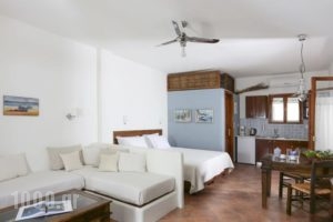 9 Muses_accommodation_in_Hotel_Cyclades Islands_Paros_Paros Chora