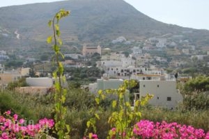Argo Studios_travel_packages_in_Cyclades Islands_Syros_Posidonia