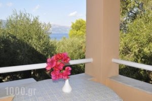 Egli Apartments_best deals_Apartment_Ionian Islands_Corfu_Kondokali