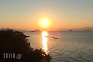 Isidora Hotel_accommodation_in_Hotel_Piraeus Islands - Trizonia_Aigina_Aigina Chora