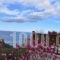 Lions Nine_holidays_in_Hotel_Thessaly_Magnesia_Mouresi