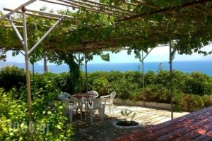 Thanasis Apartments_accommodation_in_Apartment_Ionian Islands_Kefalonia_Kefalonia'st Areas