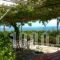 Thanasis Apartments_accommodation_in_Apartment_Ionian Islands_Kefalonia_Kefalonia'st Areas