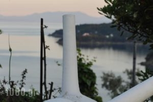 Blue Bay Skiathos_lowest prices_in_Hotel_Sporades Islands_Skiathos_Skiathos Chora