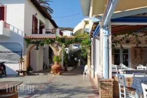 Saronis Hotel_best deals_Hotel_Piraeus Islands - Trizonia_Agistri_Agistri Chora