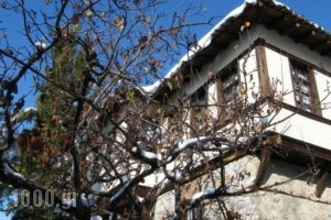 Archontiko Dintsiou_best deals_Hotel_Macedonia_Grevena_Grevena City
