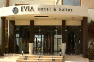 Evia Hotel & Suites_best deals_Hotel_Central Greece_Evia_Krya Vrysi