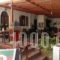 Mango Rooms_accommodation_in_Room_Dodekanessos Islands_Rhodes_Rhodesora