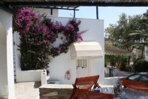 Studio Calypso_holidays_in_Hotel_Cyclades Islands_Paros_Paros Chora