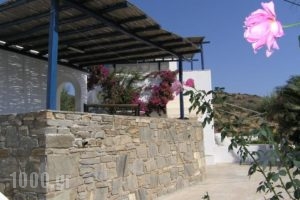 Studio Calypso_lowest prices_in_Hotel_Cyclades Islands_Paros_Paros Chora