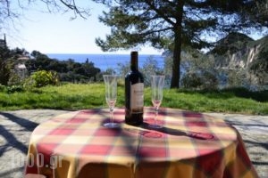 Anna Pension_holidays_in_Hotel_Ionian Islands_Corfu_Corfu Rest Areas