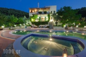 Villa Paradise_travel_packages_in_Central Greece_Evia_Artemisio