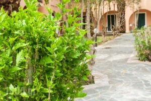 Domenico Hotel_holidays_in_Hotel_Ionian Islands_Corfu_Corfu Rest Areas