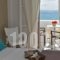 Amaryllis Beach Hotel_lowest prices_in_Hotel_Cyclades Islands_Paros_Paros Rest Areas