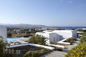 Hotel Mediterranean_lowest prices_in_Hotel_Cyclades Islands_Paros_Paros Chora