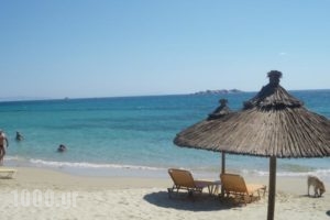 Glaronissi 1_holidays_in_Hotel_Cyclades Islands_Naxos_Naxos chora