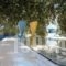 Diamantis Studios&Apartments_best deals_Apartment_Cyclades Islands_Naxos_Mikri Vigla