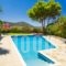Elli Apartments_best prices_in_Apartment_Crete_Heraklion_Malia