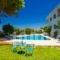 Elli Apartments_holidays_in_Apartment_Crete_Heraklion_Malia
