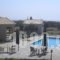 Socrates Organic Village - Wild Olive_accommodation_in_Hotel_Central Greece_Aetoloakarnania_Mesologgi