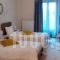 Giasimo_holidays_in_Hotel_Central Greece_Viotia_Arachova