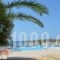 Clio Apartments_holidays_in_Apartment_Crete_Chania_Platanias