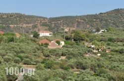Eirini Villa in Athens, Attica, Central Greece