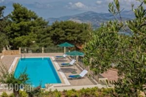 Ionian Vista_lowest prices_in_Hotel_Ionian Islands_Kefalonia_Argostoli