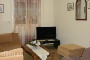 Areto Apartments_travel_packages_in_Peloponesse_Argolida_Nafplio
