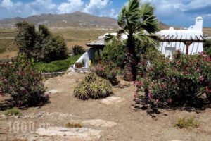 Traditional Villa Ftelia_lowest prices_in_Villa_Cyclades Islands_Mykonos_Mykonos Chora