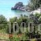 Akis Apartments_travel_packages_in_Ionian Islands_Corfu_Corfu Rest Areas