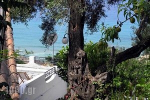 Akis Apartments_best deals_Apartment_Ionian Islands_Corfu_Corfu Rest Areas