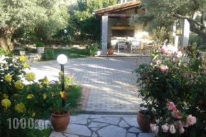 Danai_accommodation_in_Hotel_Ionian Islands_Lefkada_Lefkada Rest Areas
