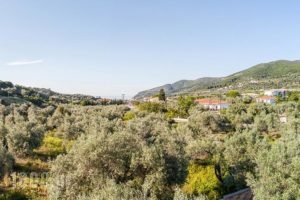 Pefkos Studios and Apartments_lowest prices_in_Apartment_Sporades Islands_Skopelos_Skopelos Chora