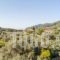 Pefkos Studios and Apartments_lowest prices_in_Apartment_Sporades Islands_Skopelos_Skopelos Chora