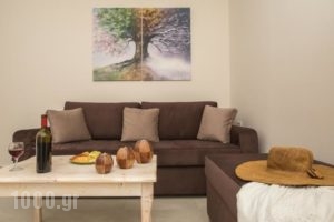 Pithos Apartments_accommodation_in_Apartment_Cyclades Islands_Sandorini_Fira
