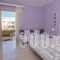 Eftihia Apartment_best prices_in_Apartment_Crete_Rethymnon_Rethymnon City