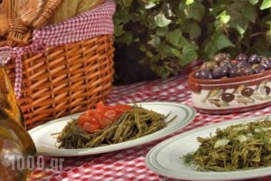 Gastronomy Hotel Kritsa_lowest prices_in_Hotel_Thessaly_Magnesia_Portaria