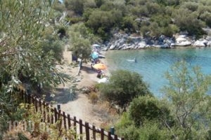 Argo - Mythos_travel_packages_in_Central Greece_Evia_Istiea