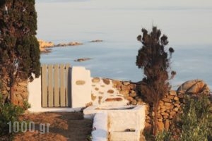 Apostolis Windmill_best deals_Hotel_Cyclades Islands_Mykonos_Mykonos ora