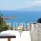 Apostolis Windmill_accommodation_in_Hotel_Cyclades Islands_Mykonos_Mykonos ora