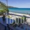 Seabird Apartments_accommodation_in_Apartment_Aegean Islands_Thasos_Chrysi Ammoudia