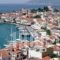 Kallirroi Studios_lowest prices_in_Apartment_Aegean Islands_Samos_Pythagorio