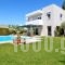Villa Banjo in Saronida_best prices_in_Villa_Central Greece_Attica_Anabyssos